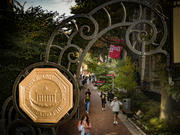 251010 Rankings 2025 20231024_FallStockRSB_021.JPG